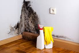 Best HVAC Mold Inspection and Cleaning  in Woodlynne, NJ